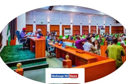MediaageNG Nigerian Senate Moves To Amend Cybercrimes Act Abuja, Nigeria - Mediaage NG News - A bill sponsored by Senator Shehu Buba (PDP, Bauchi) which seeks to amend the Cyber Crimes Act of 2015, on Wednesday passed second reading in the Senate.