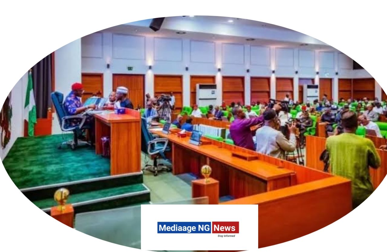 MediaageNG Senate Confirms Appointment Of Auditor-General Abuja, Nigeria - Mediaage NG News - The Nigerian Senate on Wednesday confirmed the appointment of Mr Shaakaa Chira as the Auditor-General for the Federation.