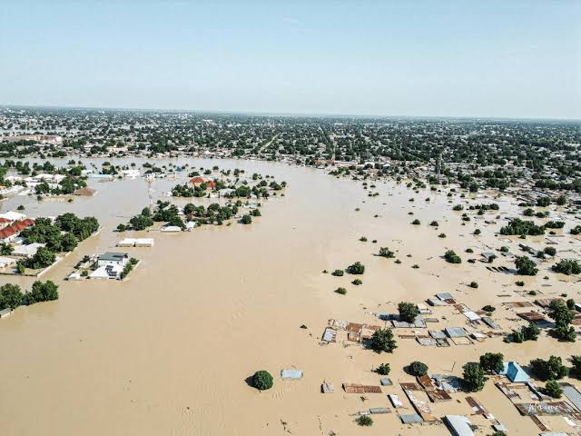 Borno Flooding: More Than 80% Of Wildlife Killed MediaageNG In Nigeria's northeastern Borno State, officials at a state-run zoo said on Tuesday that surging waters had killed “more than 80%” of wildlife at the facility and washed animals, including deadly reptiles, into neighborhoods.