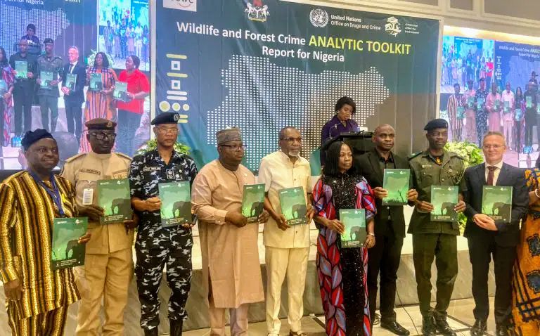 Nigeria Launches Enforcement Team To Combat Trafficking MediaageNG The Nigerian government and other stakeholders have made efforts to combat trafficking by establishing a Wildlife Enforcement Task Force, WLETF, within the West Africa sub-region.