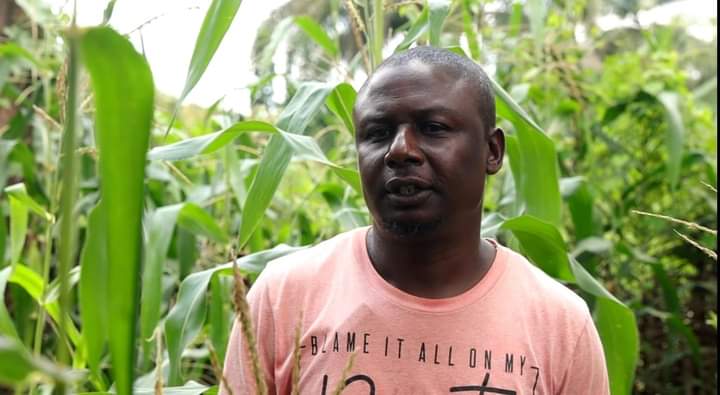 WATERING THE SEEDS OF GROWTH: ACReSAL Support for Dry Season Farming in Kogi MediaageNG “We had little food and a lot of challenges because of poverty - and absolutely no knowledge of dry season farming.”