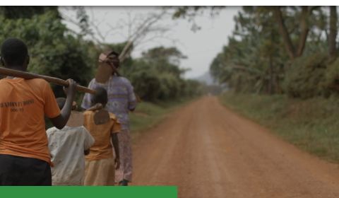 Children On The Move Are Children At Risk MediaageNG (Mediaage NG News) - The latest UN International Migration Report 2020 shows that migration has slowed over the past year with an estimated 2 million fewer people in situations of migration between June 2019 and June 2020, predominately related to the global COVID-19 Pandemic. However, “hundreds of thousands of migrants were stranded, unable to return to their countries, while others were forced to return to their home countries earlier than planned, when job opportunities dried up and schools closed.” Natural disasters and conflicts are also major factors driving people to leave their homes.