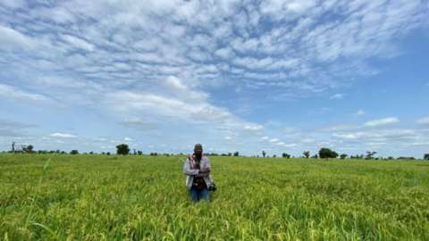 Attack On Farmers Threatens Food Security MediaageNG Charity organisation, Save the Children says armed gangs attacking Nigerian farmers is threatening to result to a devastating hunger crisis.