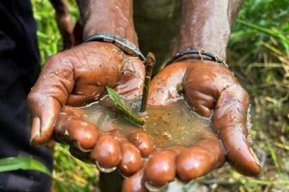 Nigeria Urged To Block Shell Oil Business Sale MediaageNG Amnesty International has told the Nigerian government that unless human rights in the Niger Delta are protected, it must stop the sale by Shell of its onshore oil business in the country.