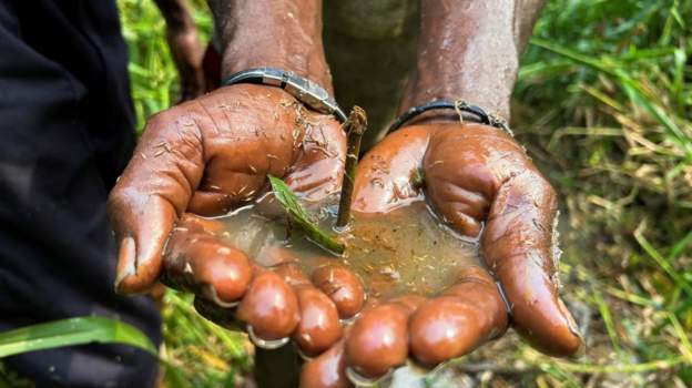 Nigeria Urged To Block Shell Oil Business Sale MediaageNG Amnesty International has told the Nigerian government that unless human rights in the Niger Delta are protected, it must stop the sale by Shell of its onshore oil business in the country.