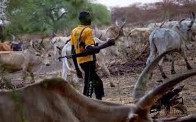 MediaageNG More than 40 Killed In Clash Between Residents And Herders In Plateau State Violence started when the herders claimed some thieves tried stealing their cattle.