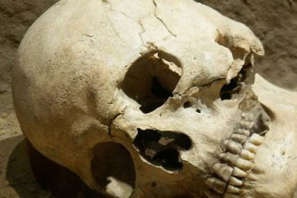 Five Nigerians Jailed For Exhuming Human Skull MediaageNG Minna, Niger State - October 17 - Mediaage NG News - Five men in Niger State, Nigeria, have been jailed for 12 years each, after they were convicted of exhuming a human skull for rituals that would make them rich.